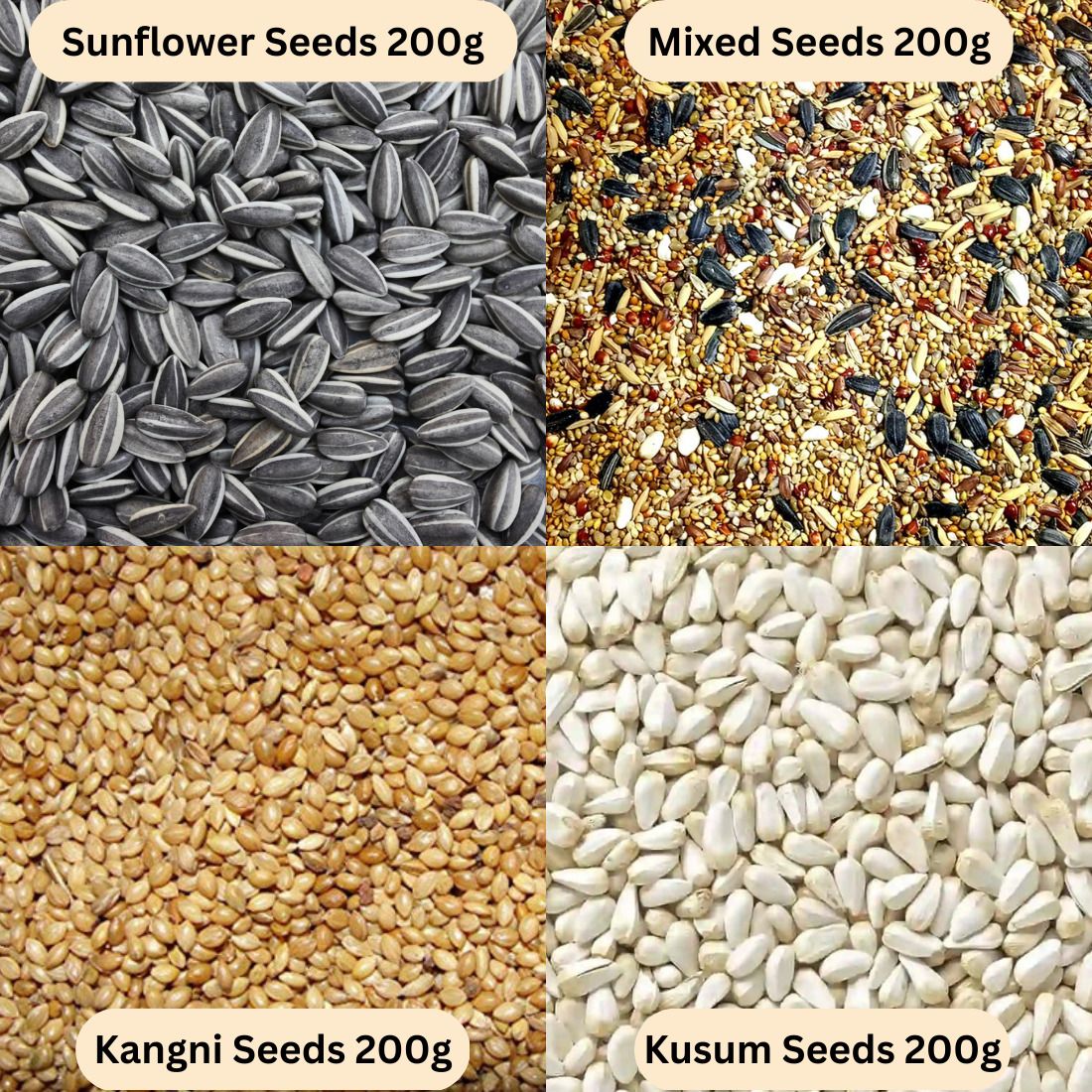 4 in 1 Bird Food Combo, Sunflower Seed, Mixed Seed, Kusum seeds, Kangni Seed Nuts 0.8 kg Dry Adult, Young, Senior, New Born Bird Food