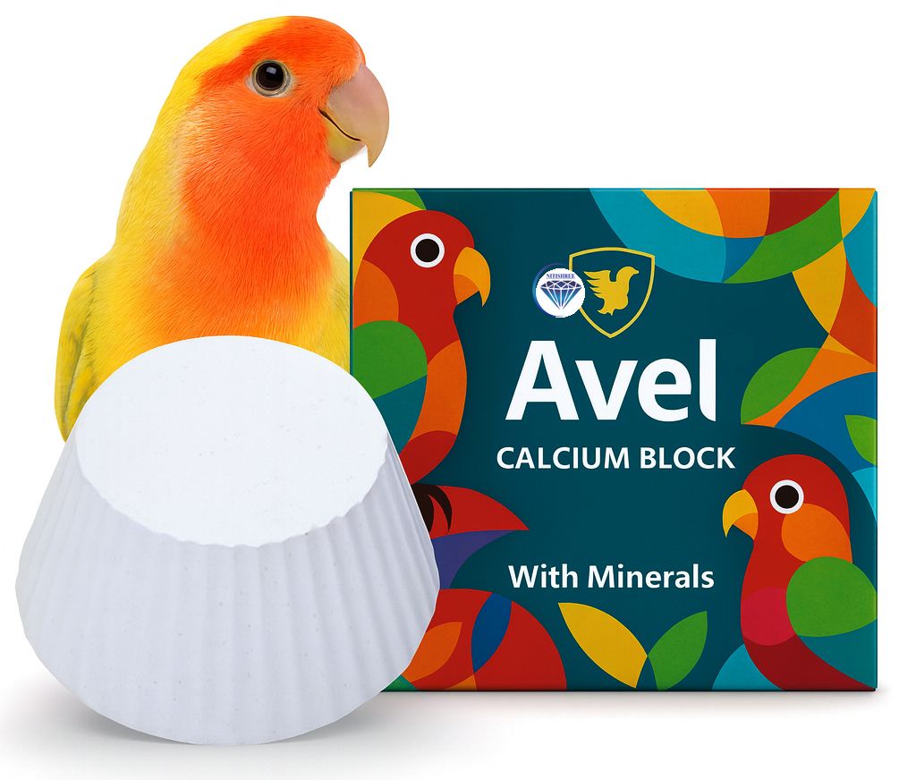 nitishree Calcium Block for Birds|Mineral Supplement for Parrots, Budgies,Cockatiels &All 0.12 kg (2x0.06 kg) Dry All Life Stages Bird Food-picture-37