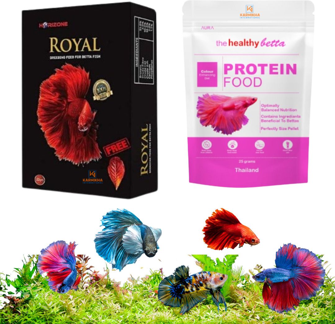 karnikha international Aura Betta Protein Fish food 25g & Royal Betta Fish food 22g - Pack of 2 0.047 kg (2x0.02 kg) Dry All Life Stages Fish Food-picture-12
