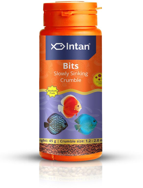 Intan Bits_Medium Fish 0.045 kg Dry Adult Fish Food-picture-25