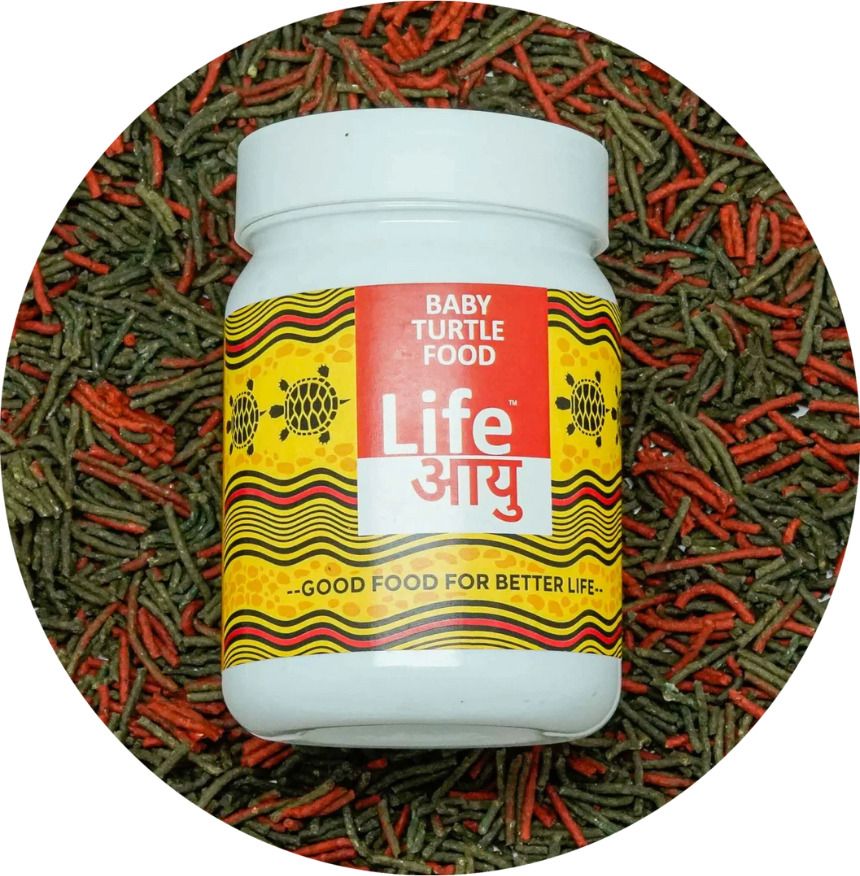 Life aayu Turtle Food for Baby Turtle 70g 0.07 kg Dry New Born Turtle Food-picture-25