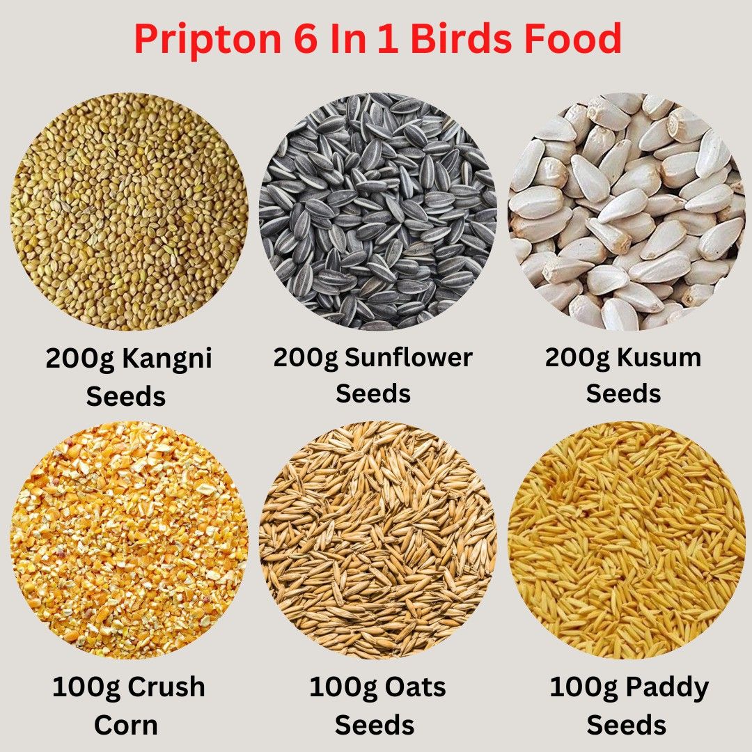 pripton 6 In 1 Combo, Kangni, Sunflower Seeds, Kusum Dana, Corn, Oats, Paddy Nuts, Rice, Vegetable, Oats 0.9 kg Dry Adult, Young, Senior, New Born Bird Food-picture-16