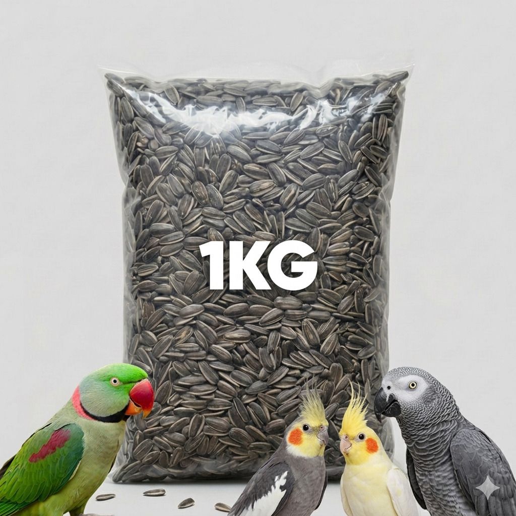 homespire Sunflower Seeds For Parrot | High Protein Bird Feed 1 kg Dry Adult Bird Food-picture-38