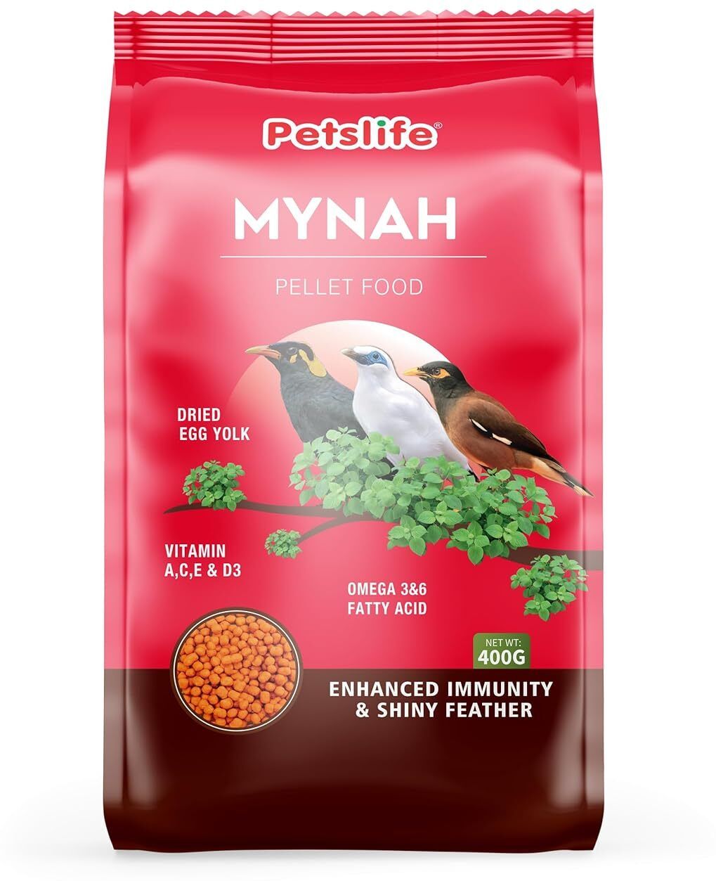petslife Mynah Bird Food - 400g Nuts 0.4 kg Dry Adult Bird Food-picture-27