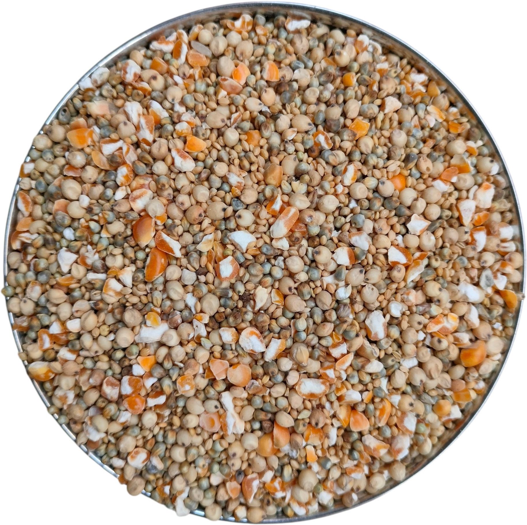 Bird Feed Mix | Bajra, Jowar, Corn & Kangni | For Sparrows, Pigeons & Wild Birds 1 kg Dry Adult, Senior, Young Bird Food-image-11