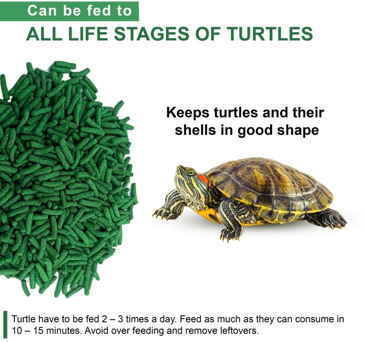 SUPER SAVER Extra Value Pack Turtle Food Fortified With Fish Meal Tortoise food Shrimp 0.5 kg Dry New Born, Adult, Senior, Young Turtle Food