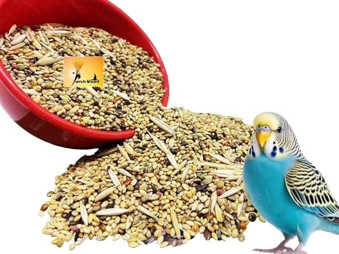 parrots wizard Love Birds Special Breeding Diet 0.9 kg Dry New Born, Adult, Young, Senior Bird Food-picture-24