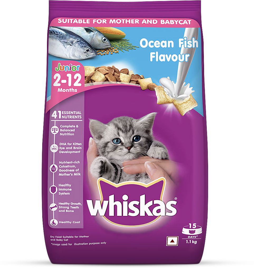 whiskas Kitten (2-12 months) Ocean Fish With Milk Dry Food- 1.1 kg Fish 1.1 kg Dry Young Cat Food-picture-46