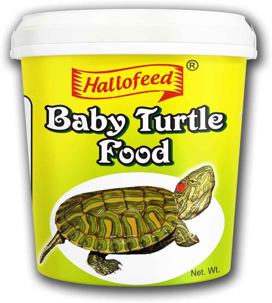 BABY TURTLE FOOD,50gm Fish 0.05 kg Dry Young, New Born Turtle Food-image-20