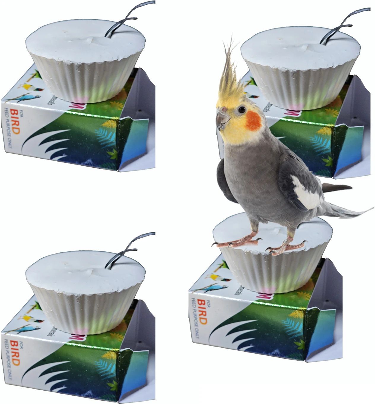 Multi Vitamin Plus Mineral Block pack of 4 0.24 kg (4x0.06 kg) Dry New Born, Adult, Senior, Young Bird Food-image-47