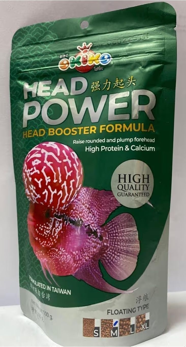 Original Okiko Head Power 100grms L size pellets Fish 0.1 kg Dry All Life Stages Fish Food-image-4