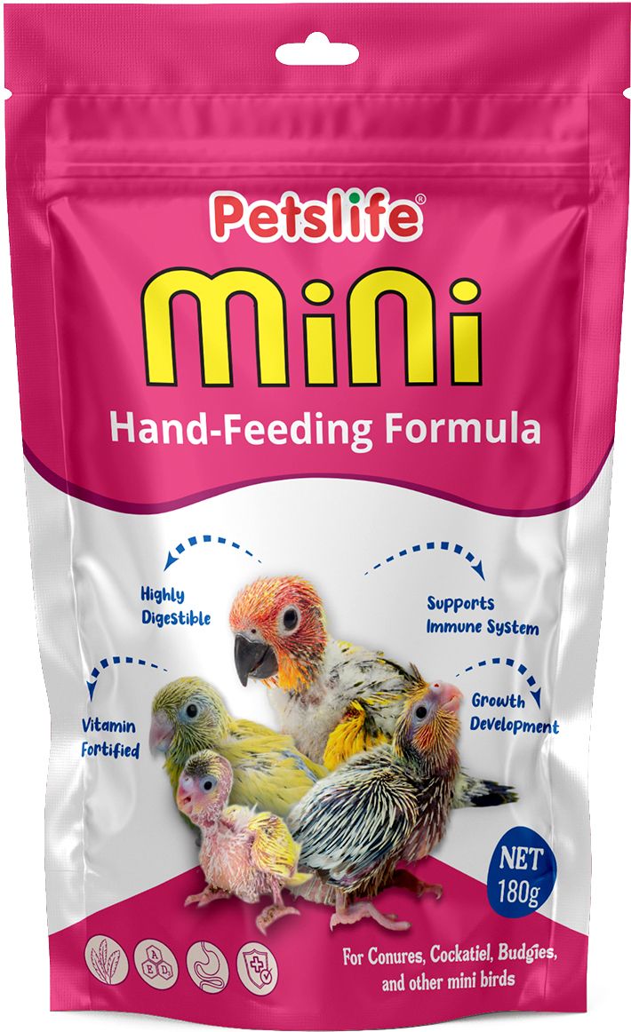 petslife Mini Hand Feeding Fomula Bird Food - 180g Nuts 0.18 kg Dry New Born Bird Food-picture-26
