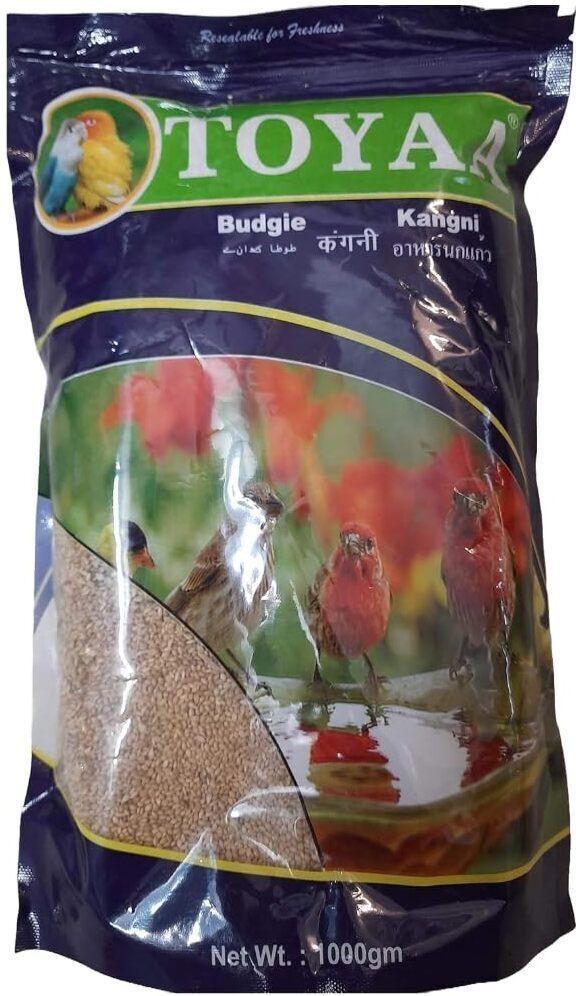 petjoy Toya All Life Stages Vegetable Flavour Bird Food Seeds (Kangni) - 1000 Gram Vegetable 1 kg Dry Adult, Senior, Young Bird Food-picture-11