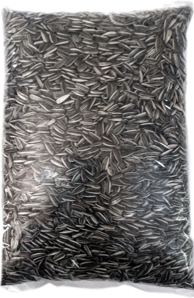 Small size Strip Sunflower seeds 0.9 kg Dry New Born, Young, Adult Bird Food