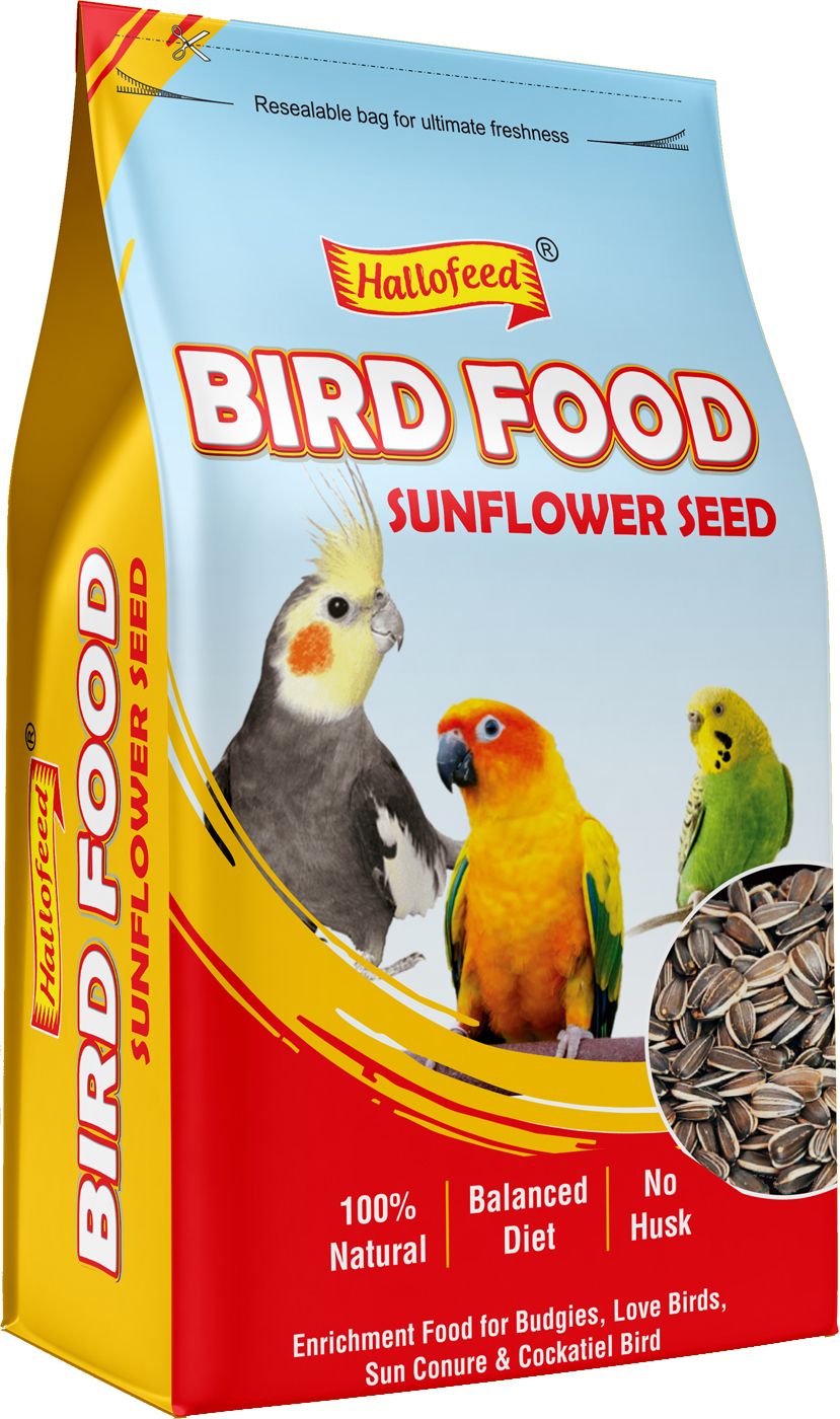 BIRD FOOD 500 gm (Sunflower seed) for Budgies , Parrots 0.5 kg Dry Adult, Senior, Young Bird Food-image-42