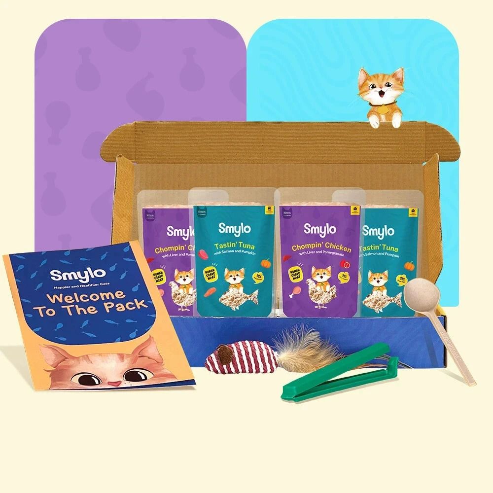 Natural Healthy Wet Kitten Food Trial Box (2-12 Months) Tuna, Salmon, Chicken, Liver 0.28 kg (4x0.07 kg) Wet Young Cat Food-image-8