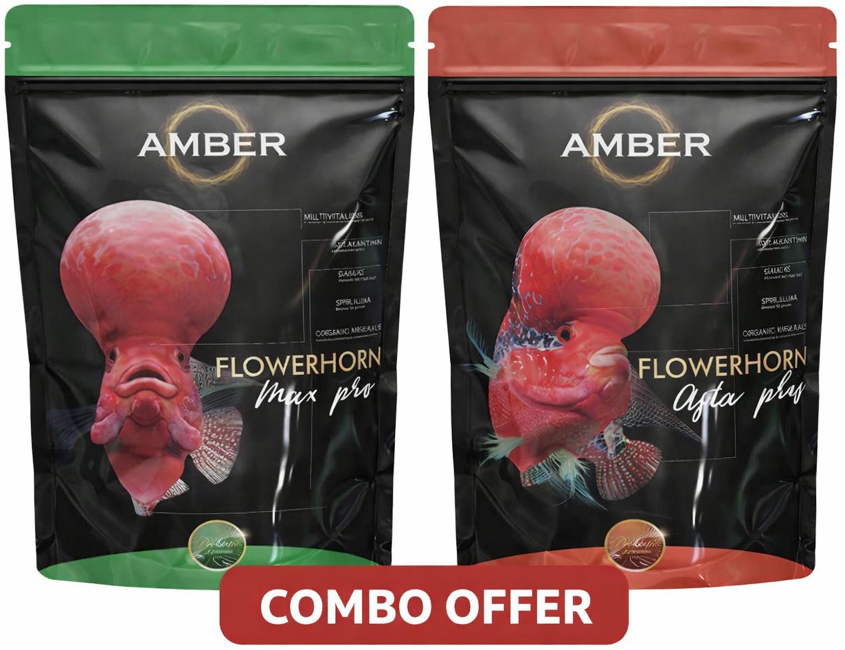 AMBER FLOWERHORN MAX PRO & ASTA PLUS (Original) Fish 0.2 kg (2x0.1 kg) Dry All Life Stages Fish Food-image-48