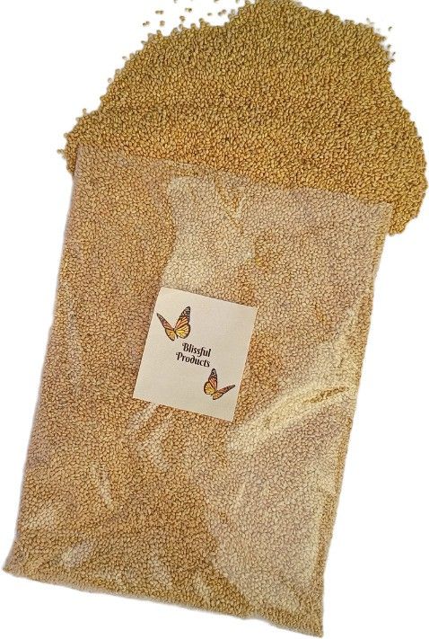 blissful products Yellow Millet Kangni Bird Food 1 Kg for all kind of Birds| 1 kg Dry Adult Bird Food-picture-48