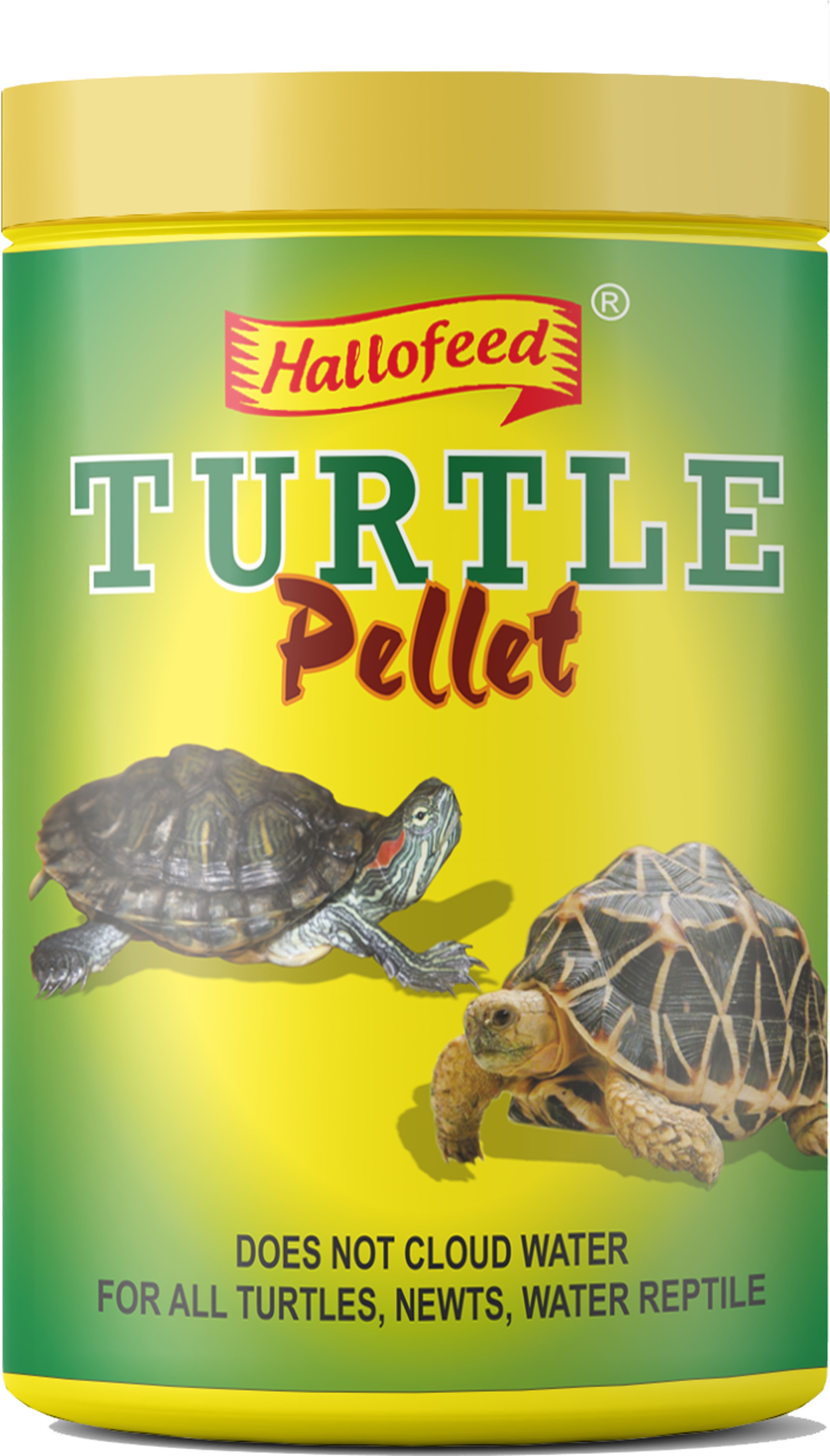 Turtle Pellets 100gm 0.1 kg Dry Senior, Adult, Young Turtle Food-image-14