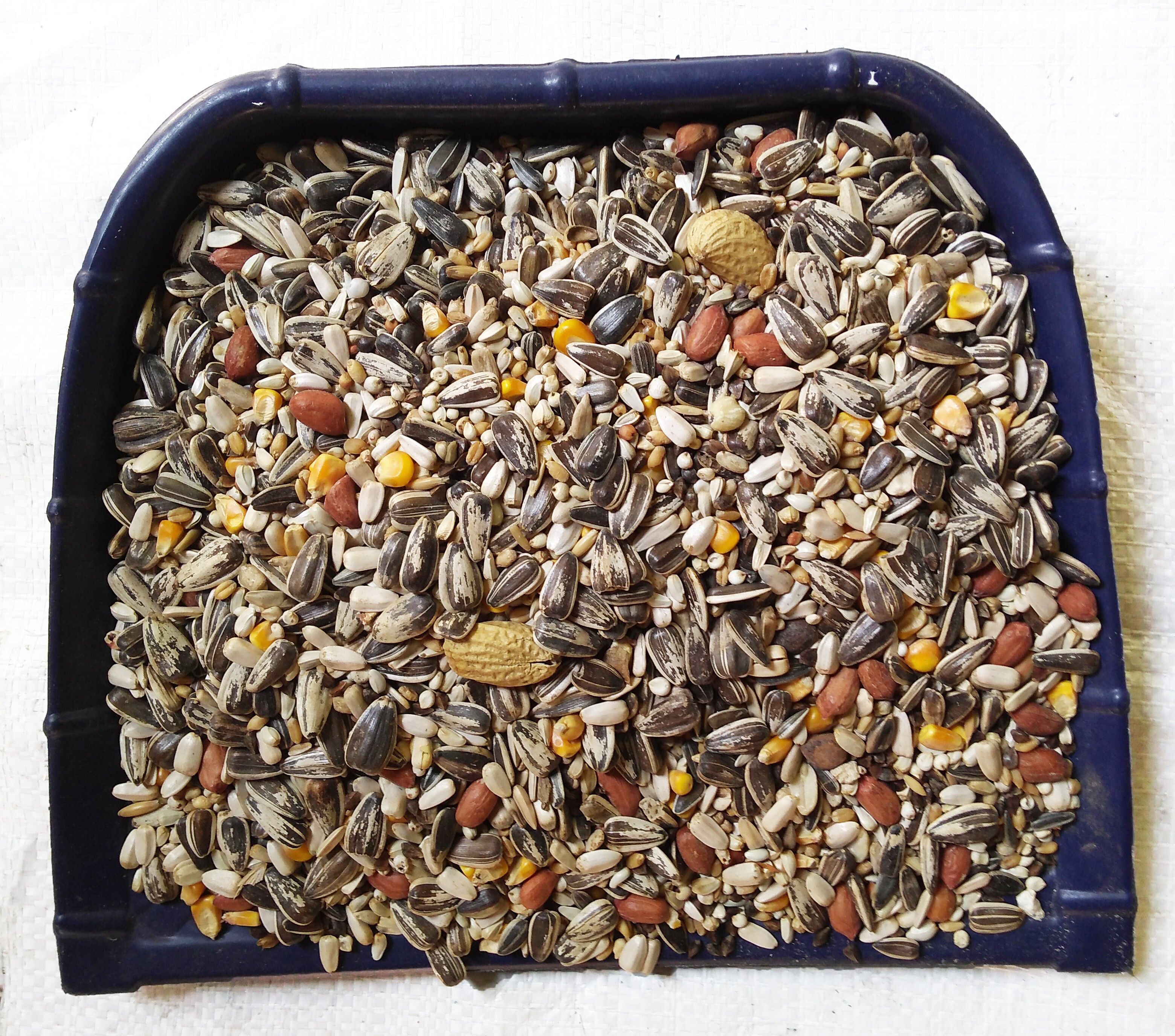 parrots wizard bird mix seeds 1 0.9 kg (2x0.45 kg) Dry Adult Bird Food-picture-26