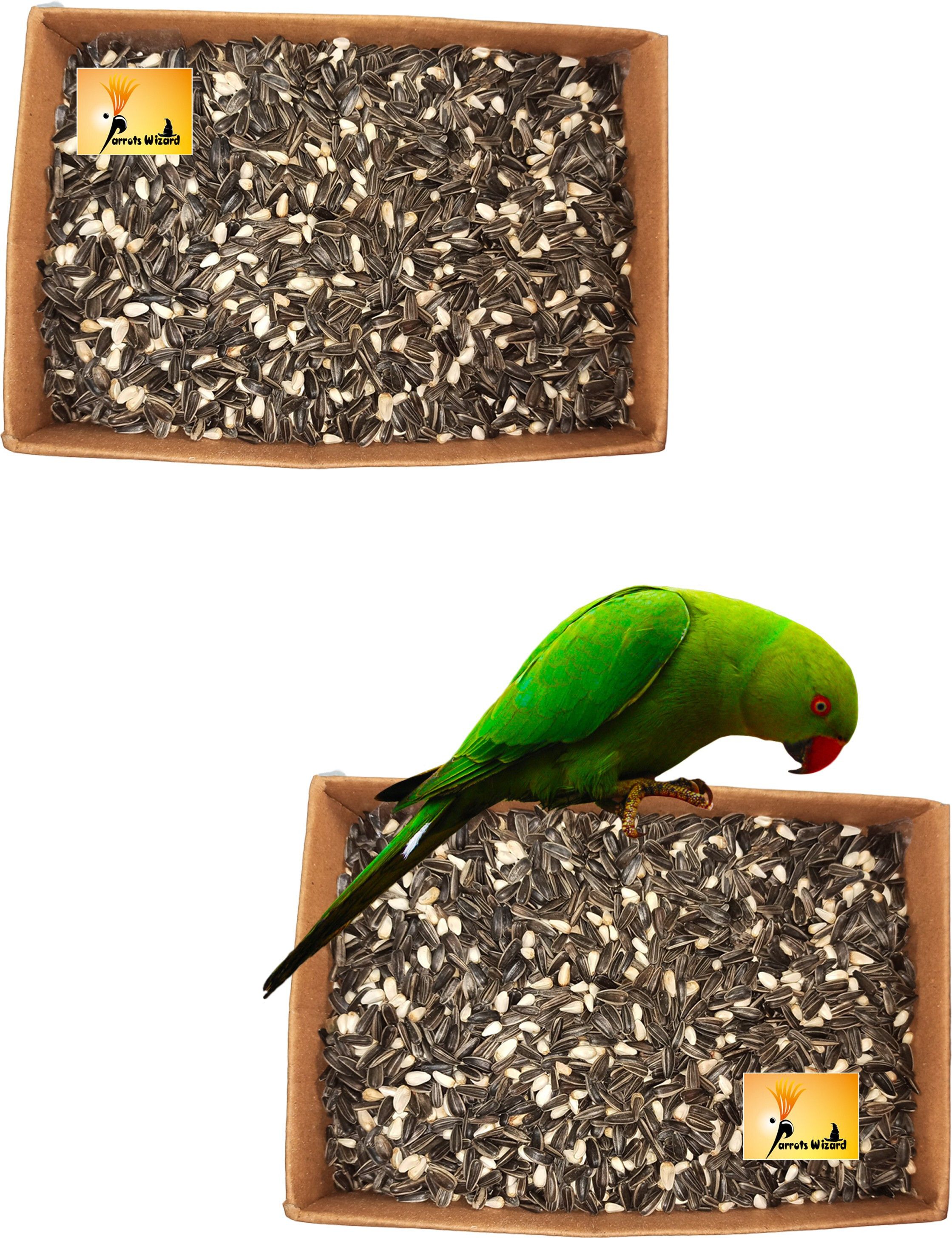 parrots wizard Bird Food karada + sunflower mix 1.8 kg 1.8 kg (2x0.9 kg) Dry Adult Bird Food-picture-13
