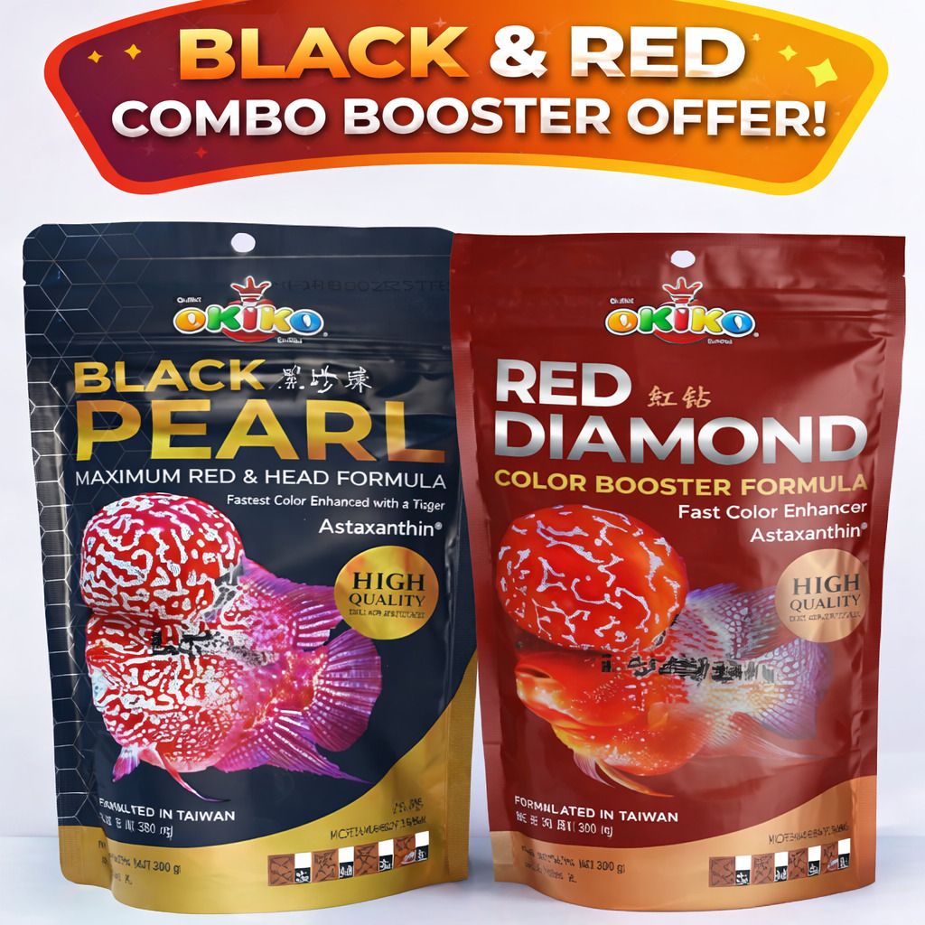 Okiko Black Pearl and Red diamond Original L size pellets Fish 0.1 kg (2x0.05 kg) Dry All Life Stages Fish Food-image-10