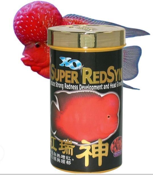 ocean free Original XO SuperRed Syn Flowerhorn Fish Fish 0.1 kg Dry All Life Stages Fish Food-picture-17