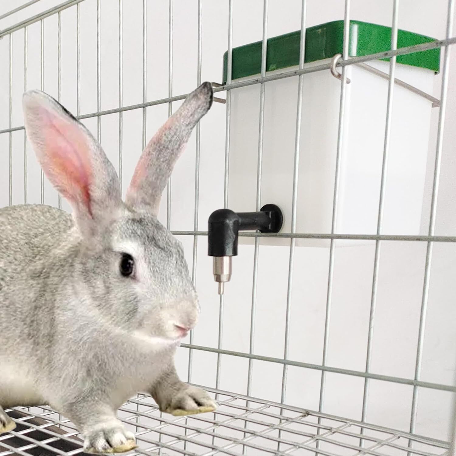 500ml Cage Water Bottles for Rabbits, Ferrets, Guinea Pigs Hanging Rabbit