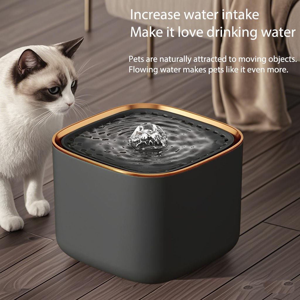 Automatic Pet Water Fountain - Anthracite Grey-image-6