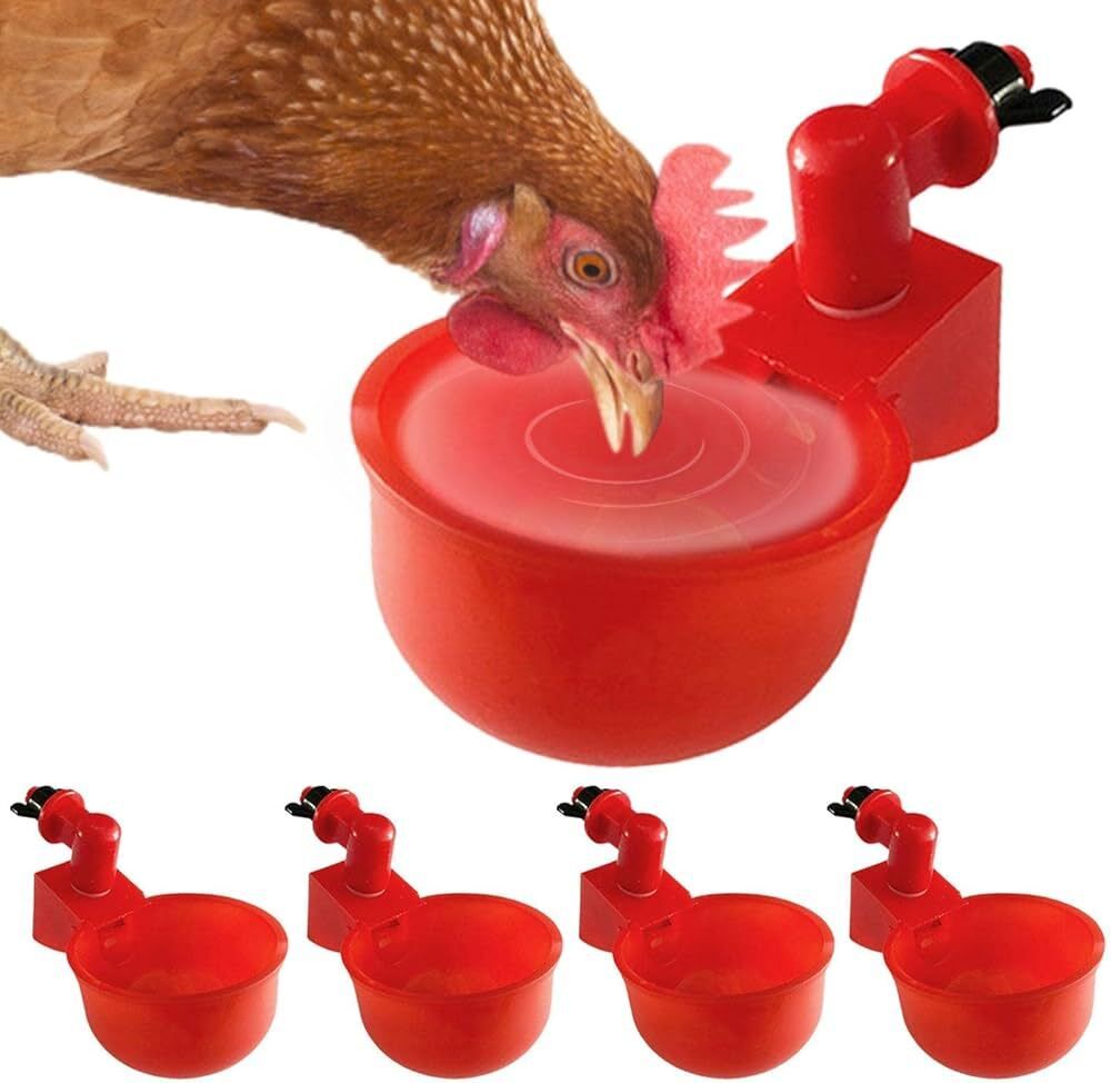 bethlehenm 90 ml Water Trough-picture-18