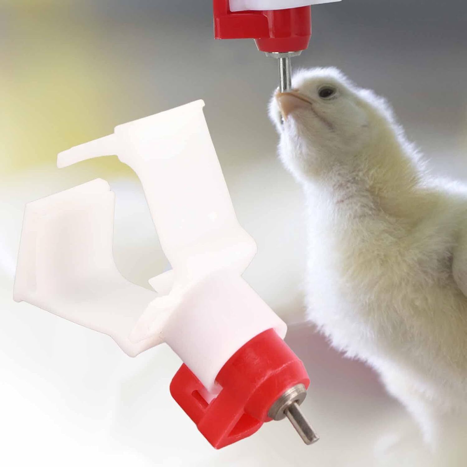 Chicken poultry automatic drinker-image-14