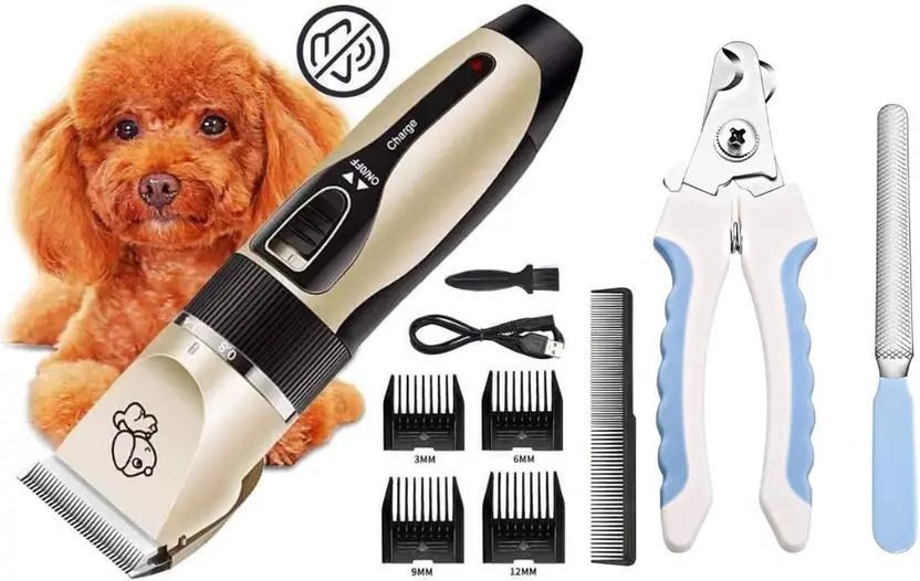 petjoy Animal and pets hair cutter machine ,home grooming tool Gold Pet Hair Trimmer Gold Pet Hair Trimmer-picture-1
