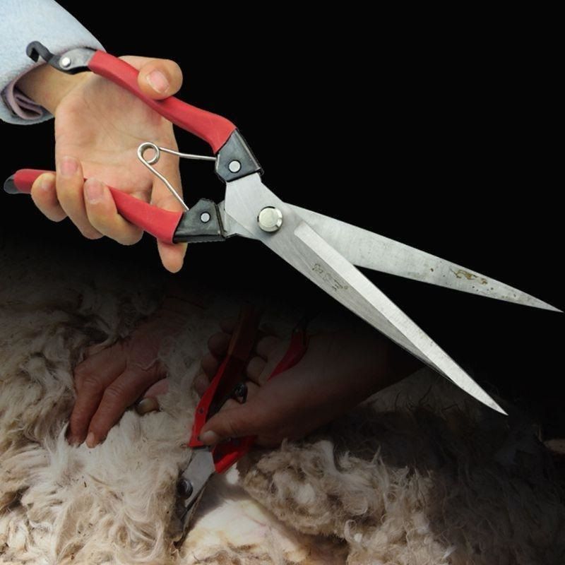 yms Red Scissors Sheep hair cutting machine Steel Pet Hair CUTTING KATAR Silver Pet Hair Trimmer-picture-9