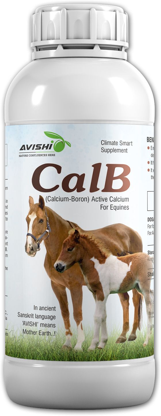 Horse CalB (Calcium-Boron) Pet Health Supplements-image-11