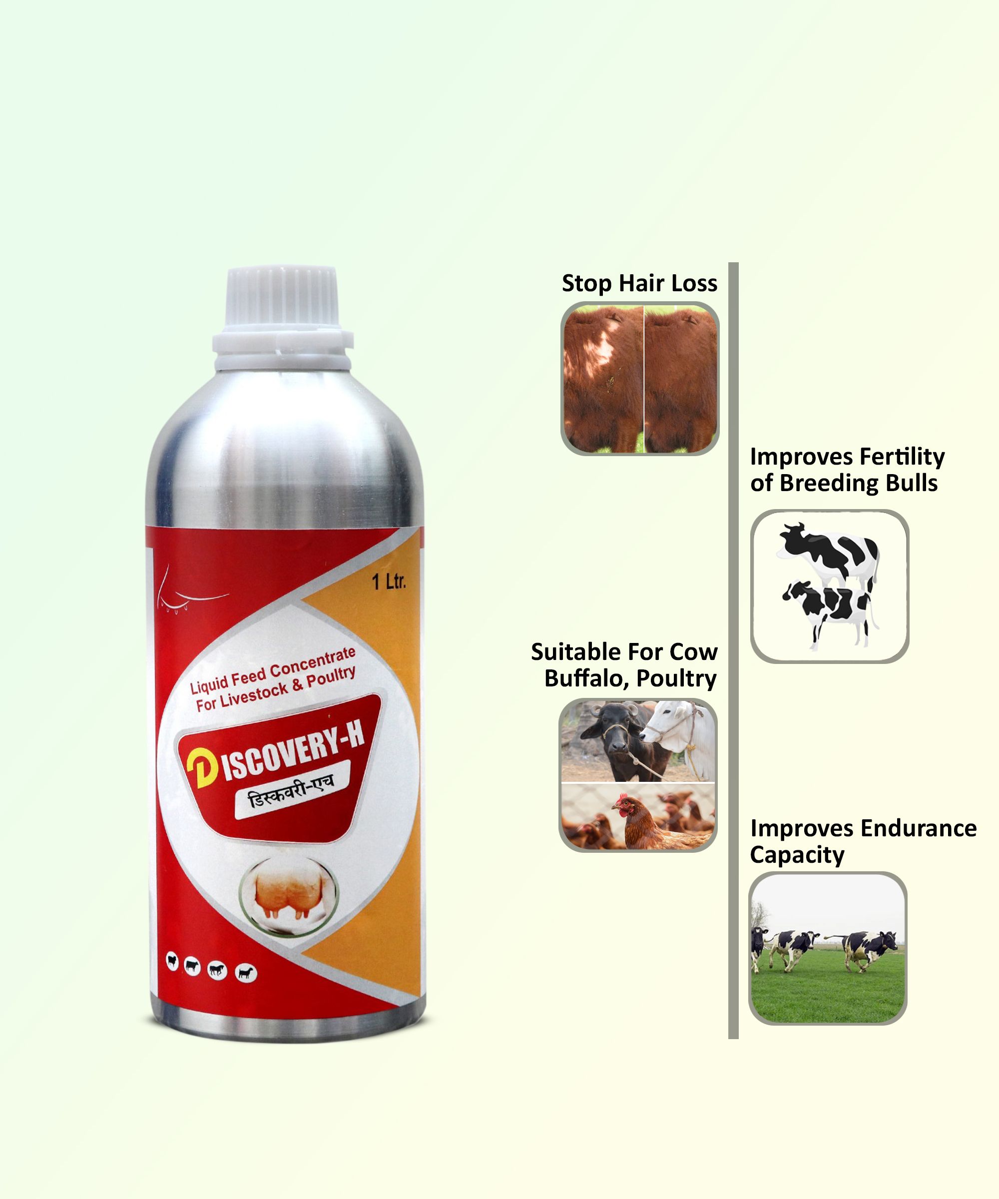 Discovery-H Veterinary for Cow Cattle Poultry & Livestock Animals Pet Health Supplements
