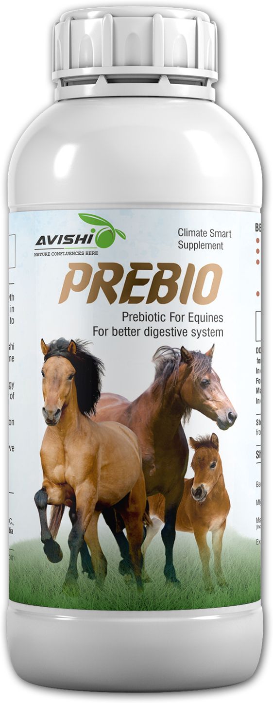 Horse Prebio Pet Health Supplements-image-33