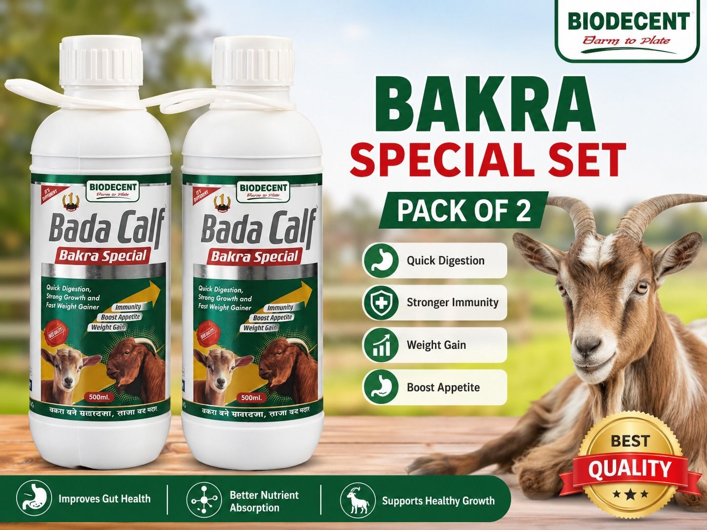 badacalf bakra special 1 kg (2x0.5 kg) Wet All Life Stages, Adult, New Born, Senior, Young Goat Food-picture-38