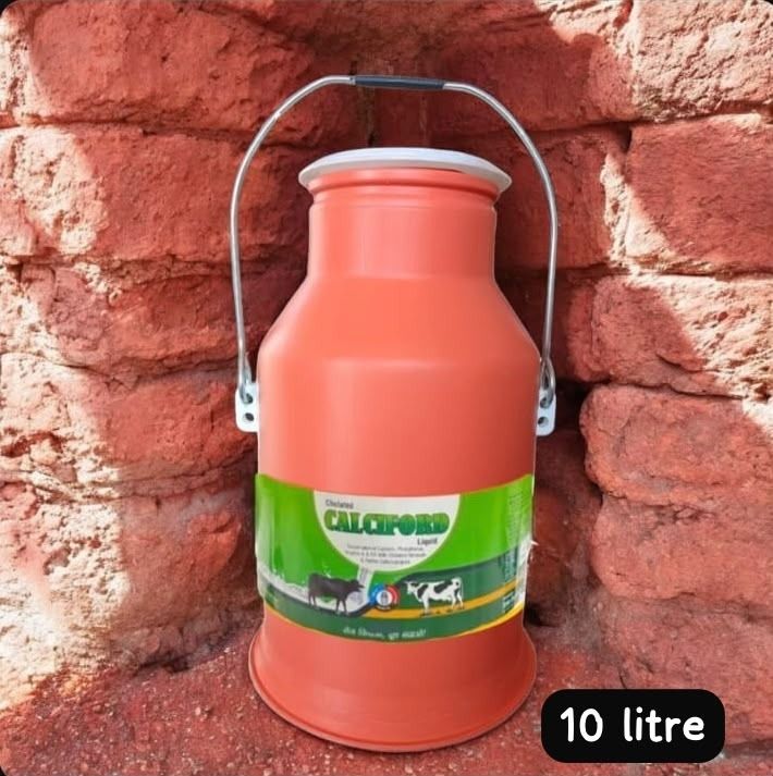 Chelated Calciford Pet Health Supplements-image-49