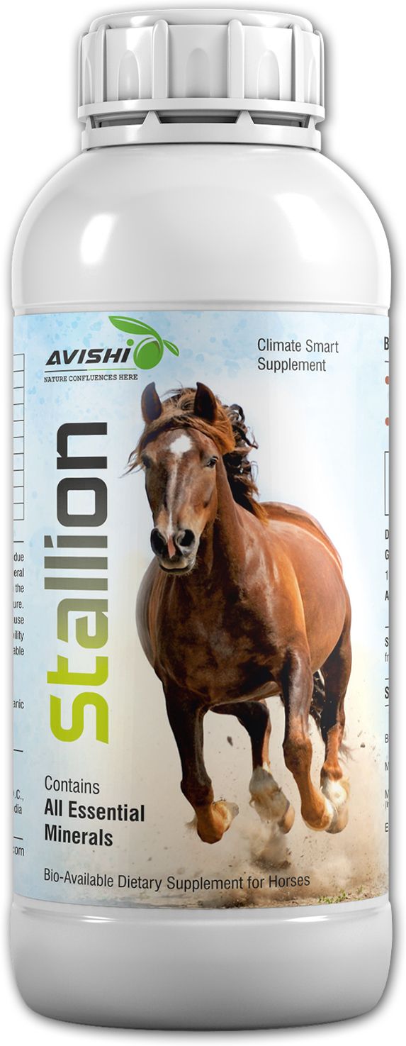 Horse Stallion Pet Health Supplements-image-34