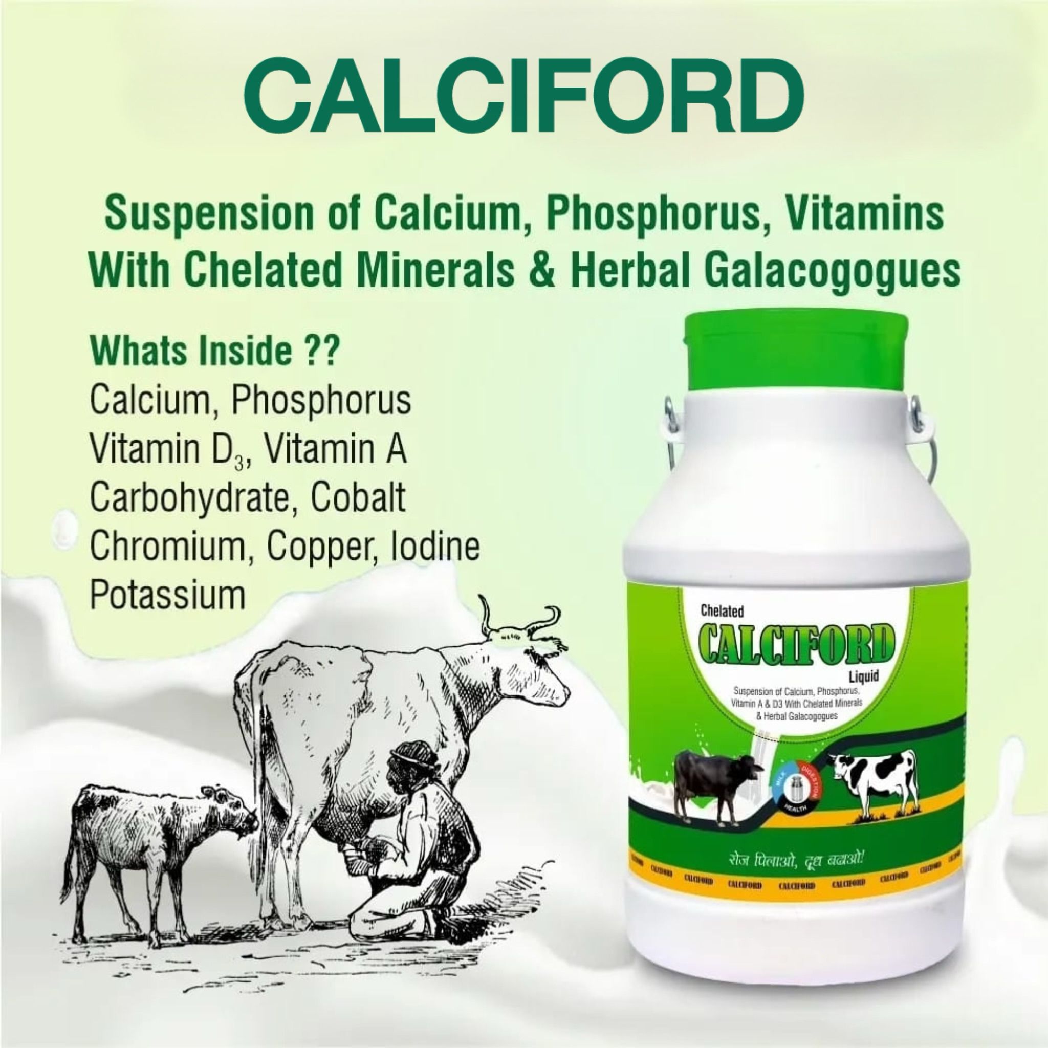 dhanishree healthcare CAL09000 Pet Health Supplements-picture-29