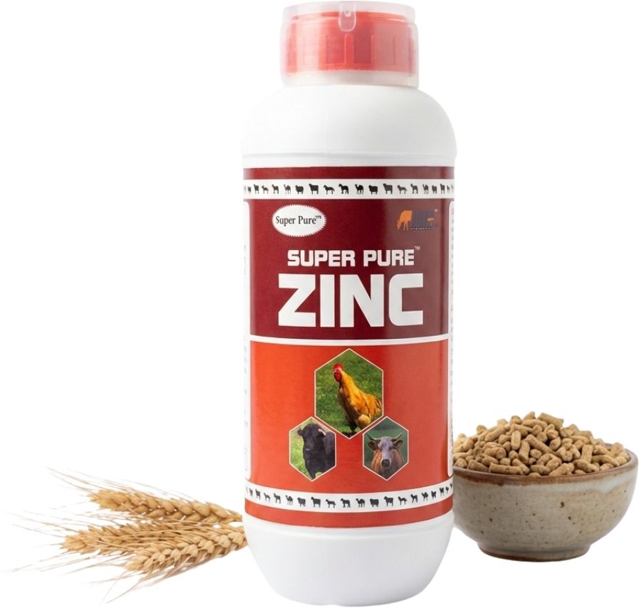 super pure ZINC-BT-89 Pet Health Supplements-picture-24