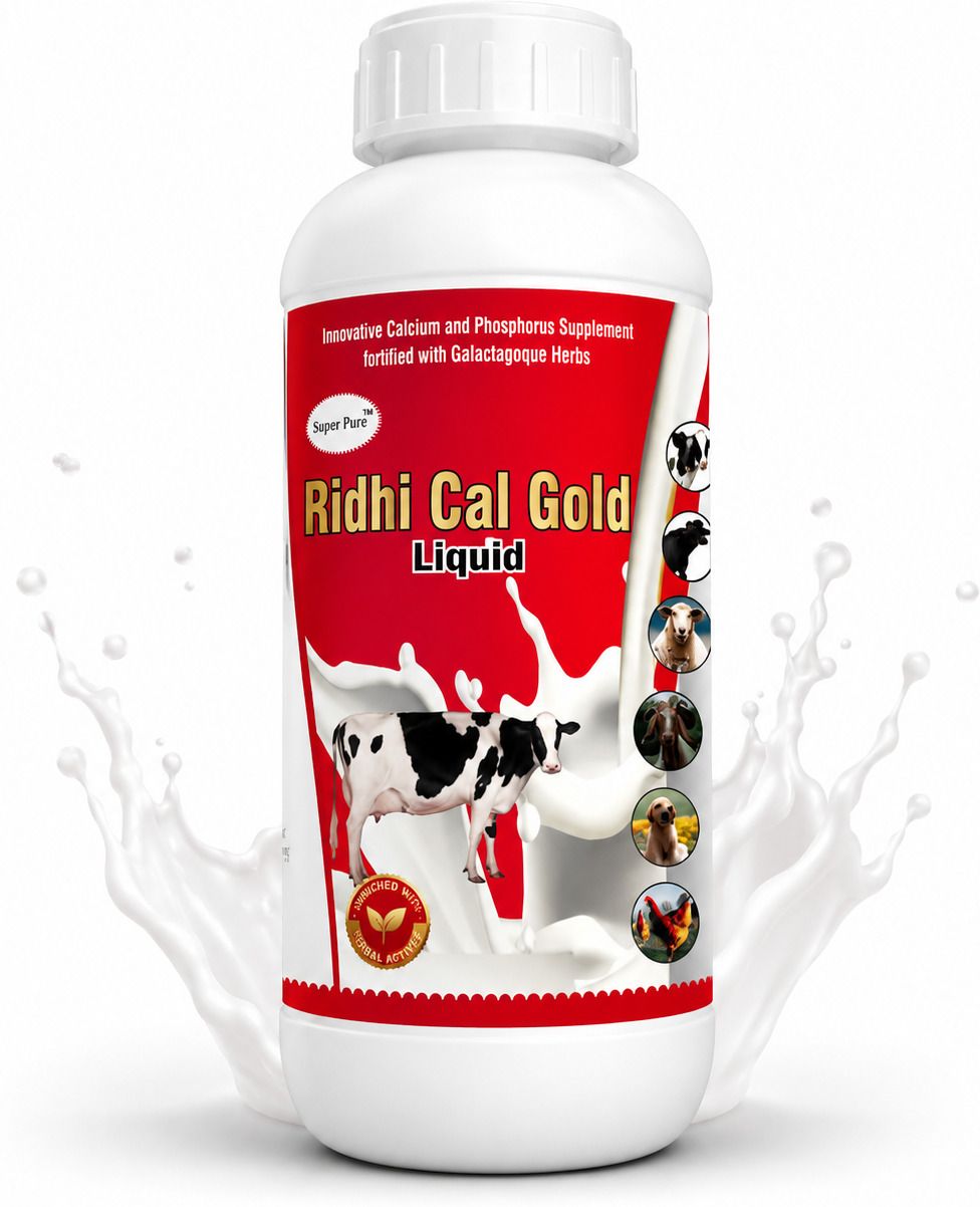 Ridhi Cal Gold Liquid Calcium Supplement for Cattle & Buffalo | Bone Strength Pet Health Supplements-image-29