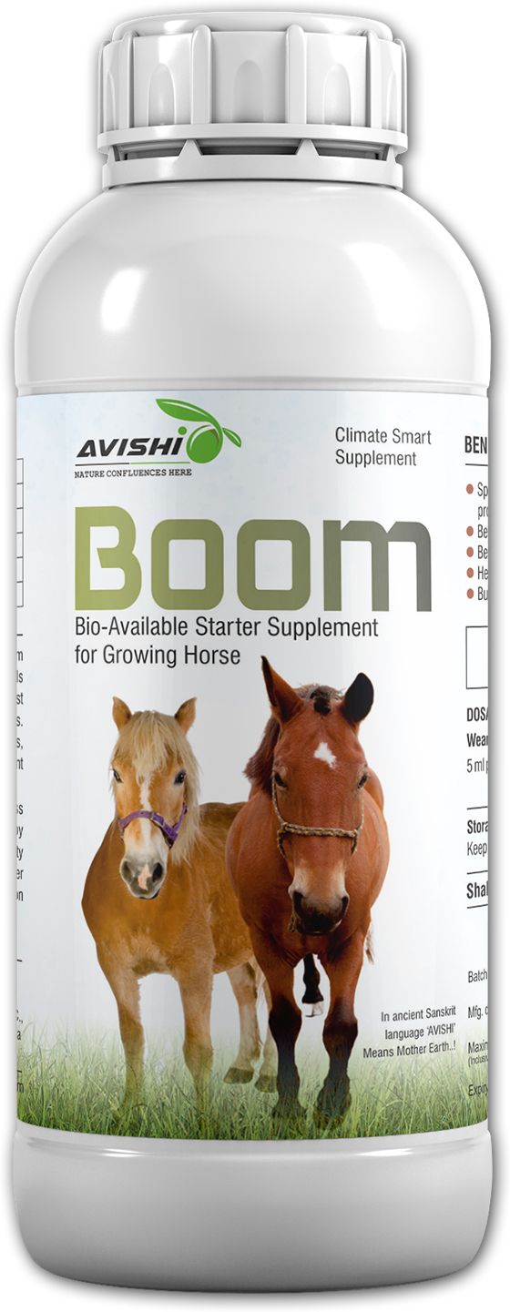 Horse Boom Pet Health Supplements-image-45