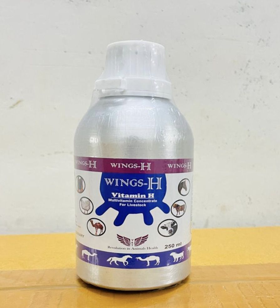 Wings H Pet Health Supplements-image-35