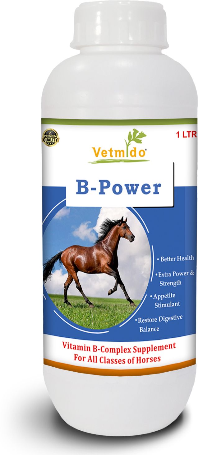B-Power - Vitamin B Complex Supplement For All Classes of Horses - 1 Ltr Pet Health Supplements