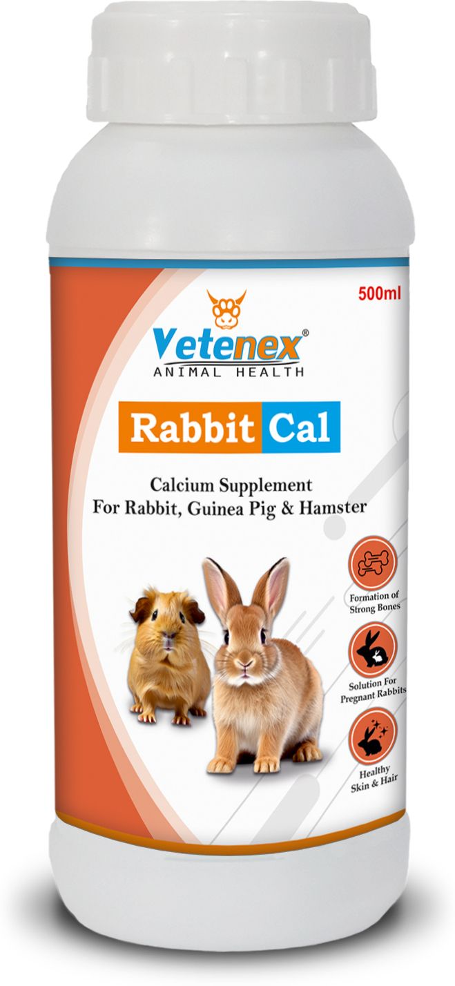 vetenex Rabbit Cal - Calcium Tonic Supplement for Rabbit, Guinea Pig & Hamsters - 500 ML Pet Health Supplements-picture-44