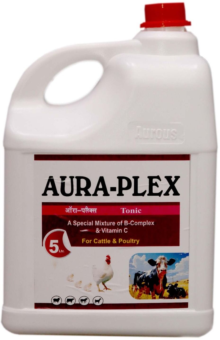 aurous A Special Mixture of B-complex & Vitamin C For Cattle & Poultry- 5 L Pet Health Supplements-picture-14
