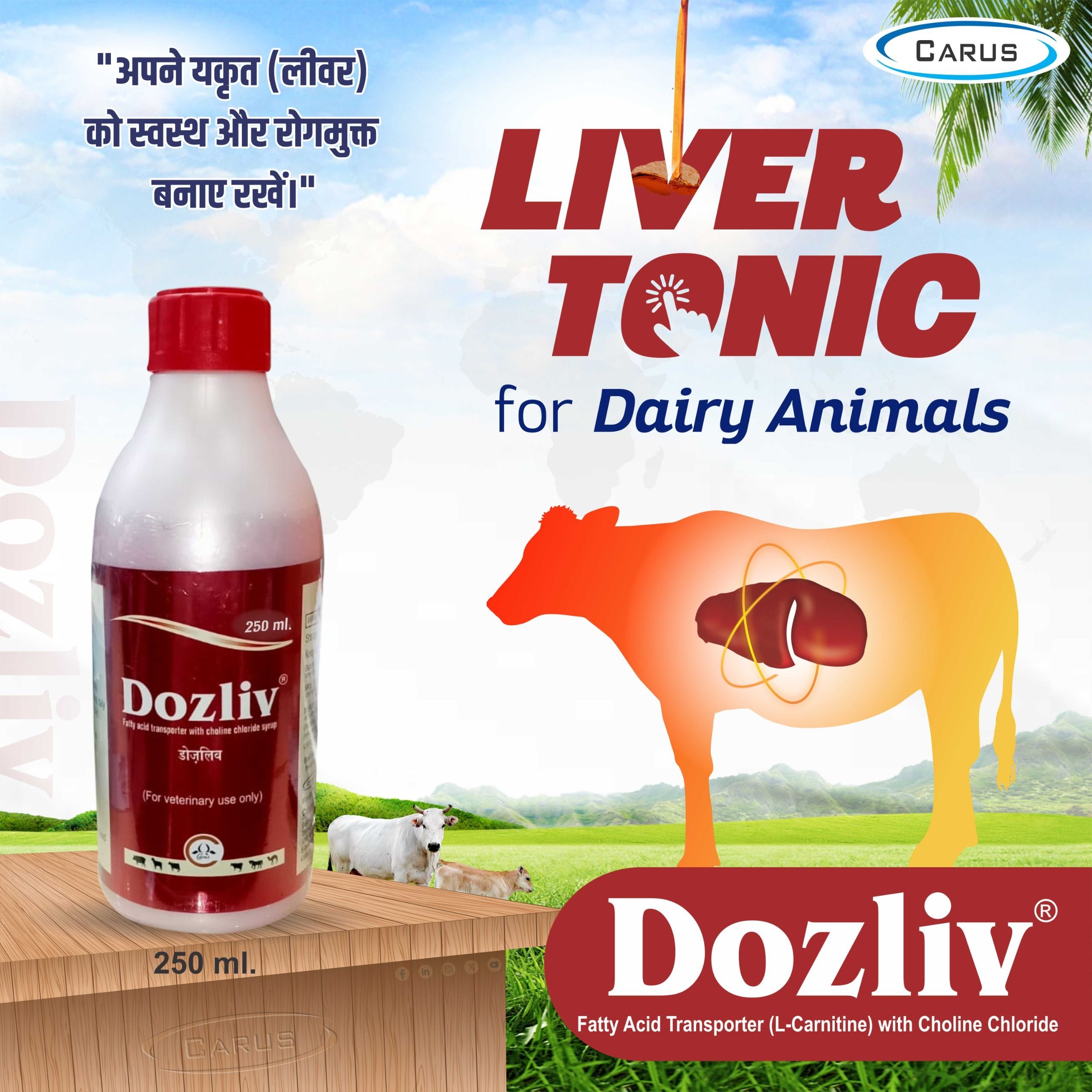 Liver & Digestive Tonic For Cattle, Cow, Buffalo, Goat & Farm Animals Pet Health Supplements