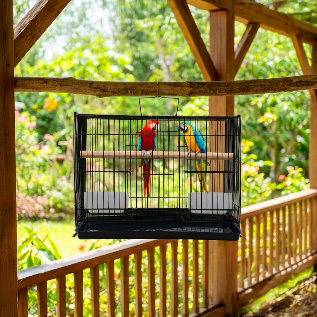 devis 15 inches feet Bird Cage for Budgies, Finches, Lovebirds & Free Toys Color black Bird Cage-picture-45