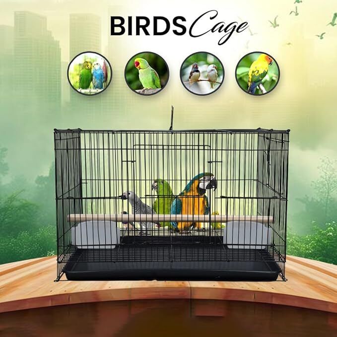 1.25 Ft Black Cage with Accessories, 38x28x28 cm, Bowl, Non-Slip Base Bird Cage-image-42